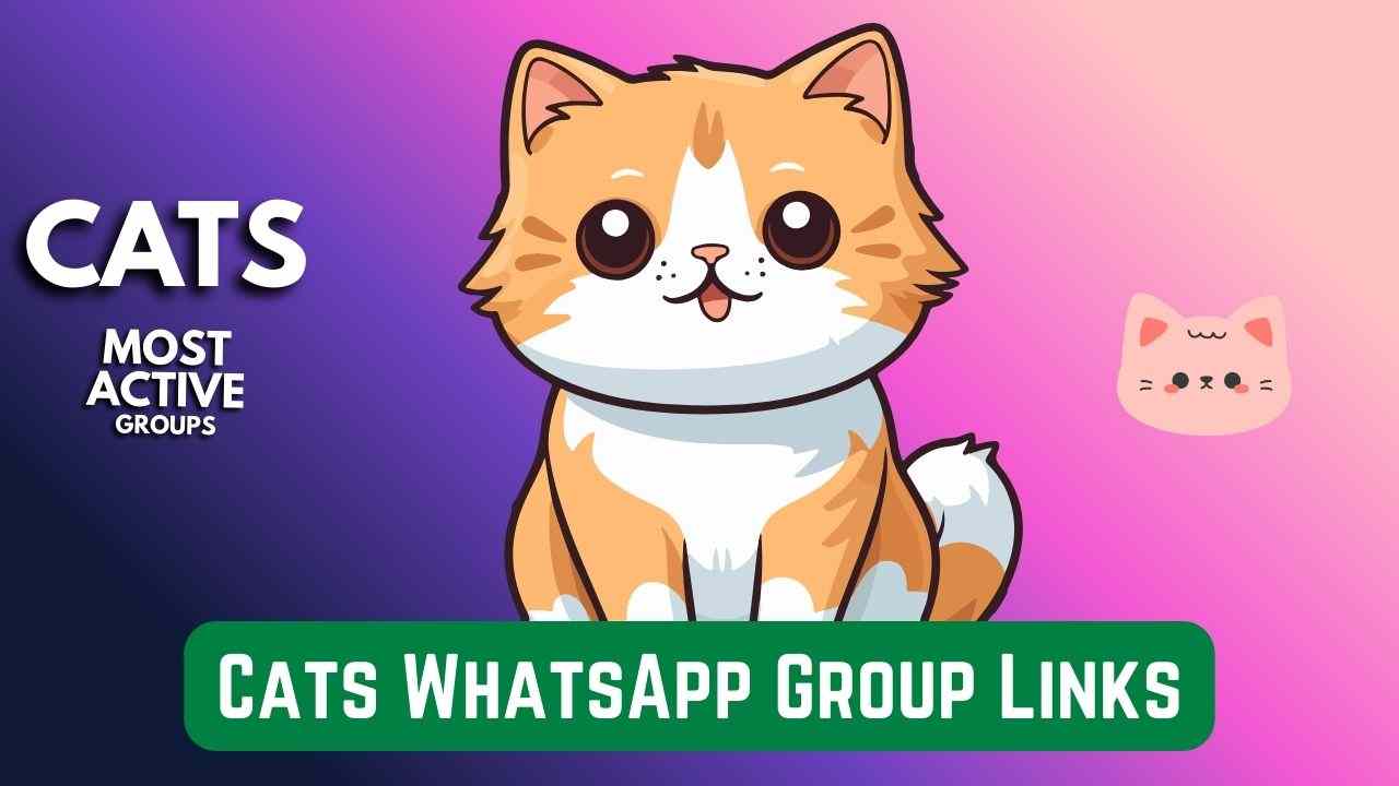 Join the Purr-fect Cats Lovers WhatsApp Group Links

