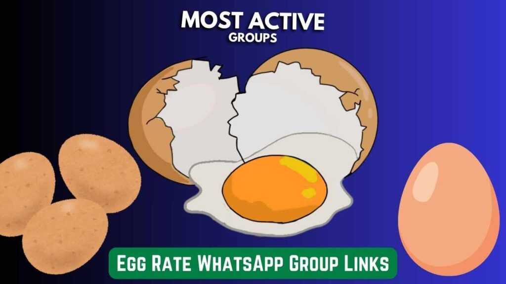 Egg Rate WhatsApp Group Links